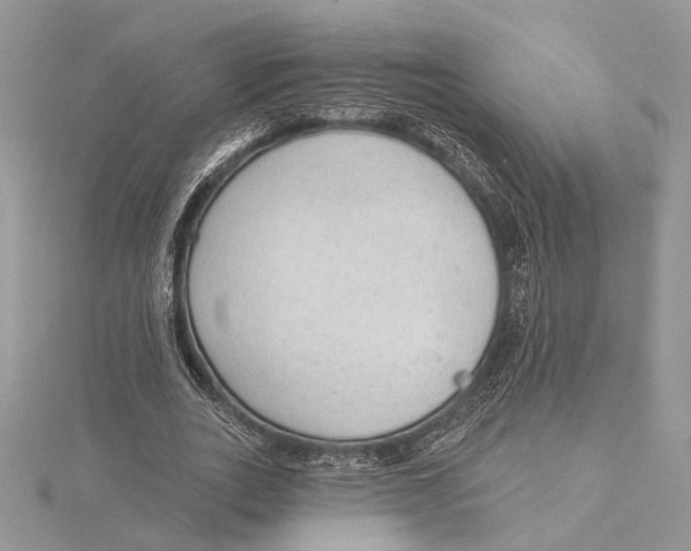 X0000115550727200912041031