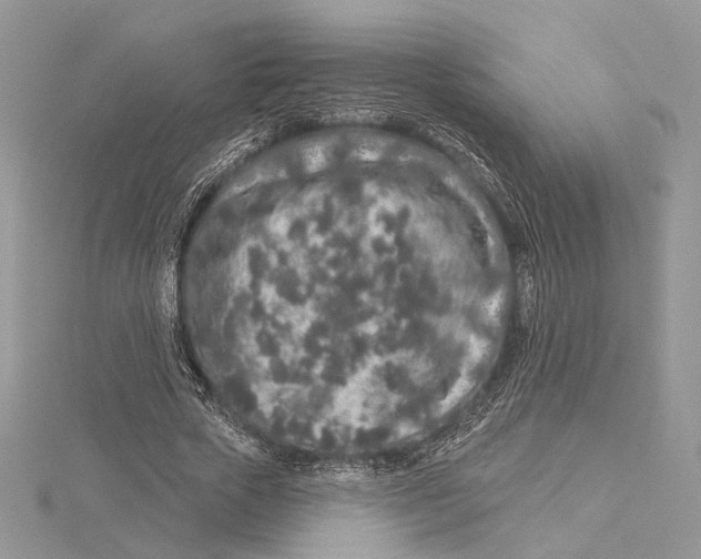 X0000115550729200912041031