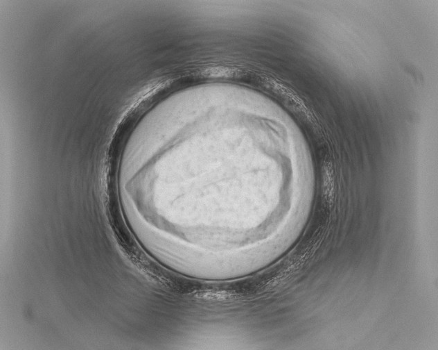 X0000115550730200912041031