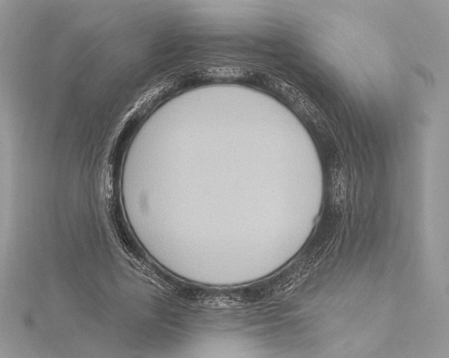 X0000115550731200912041031