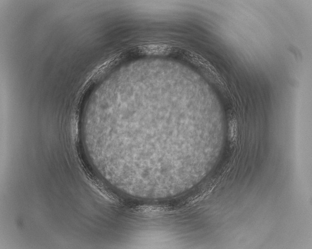 X0000115550733200912041031