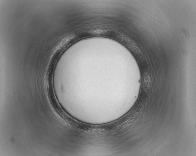 X0000115550734200912041031