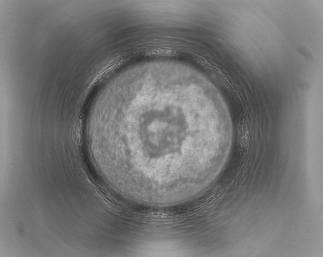 X0000115550735200912041031