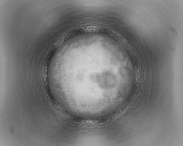 X0000115550737200912041031