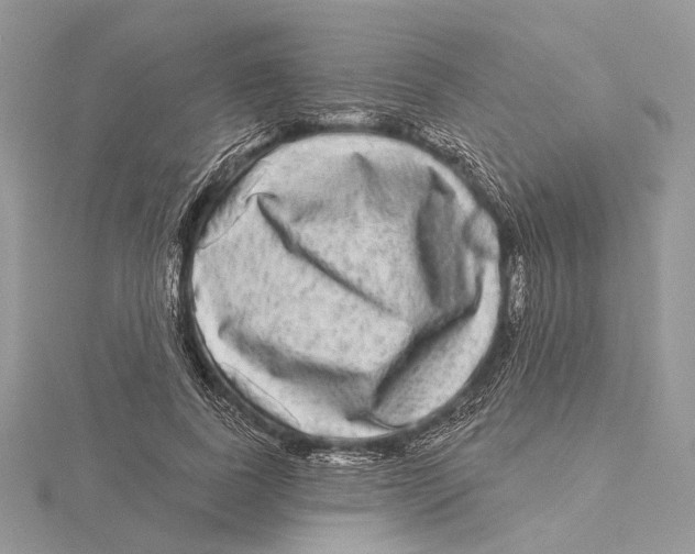 X0000115550739200912041031