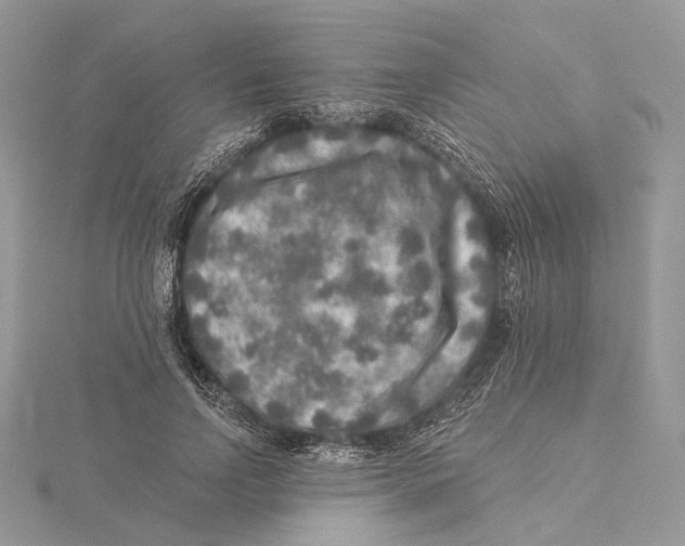 X0000115550742200912041031