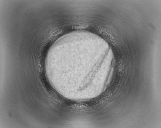 X0000115550743200912041031