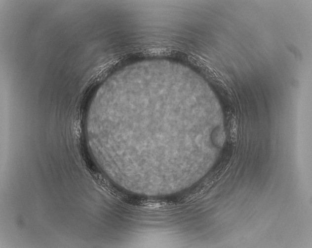 X0000115550746200912041031