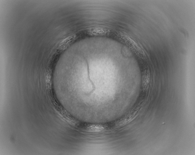 X0000115550749200912041032