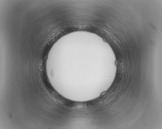 X0000115550750200912041032