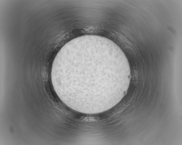 X0000115550751200912041032