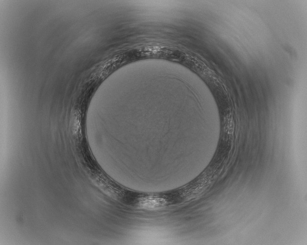 X0000115550754200912041032