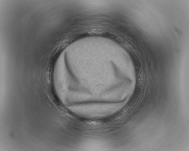 X0000115550755200912041032