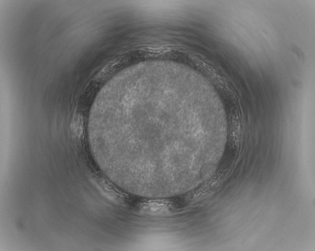 X0000115550758200912041032