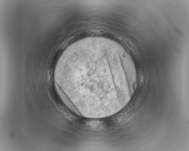 X0000115550759200912041032