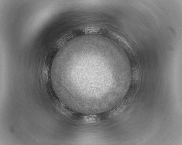 X0000115550761200912041032