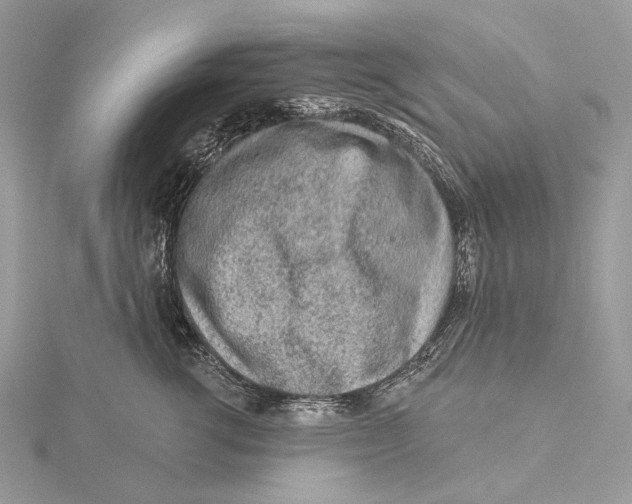 X0000115550762200912041032