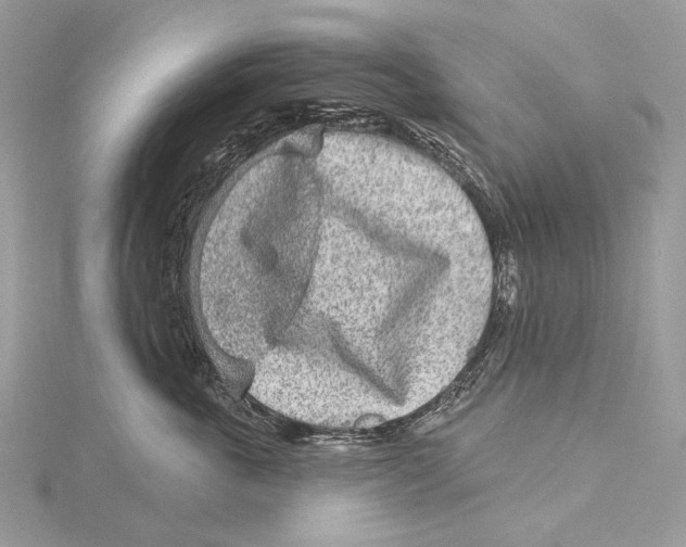 X0000115550763200912041032