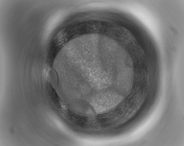 X0000115550766200912041032