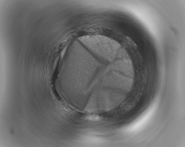 X0000115550767200912041032