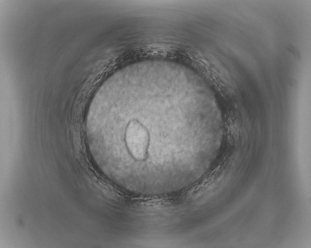 X0000115550769200912041031