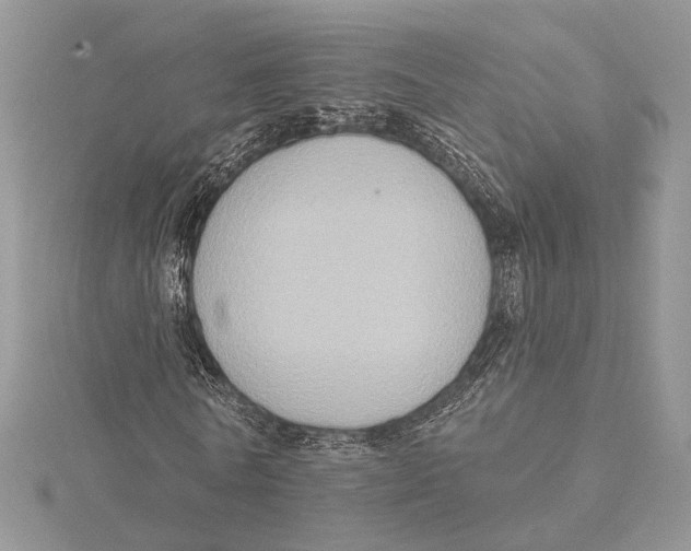 X0000115550770200912041031