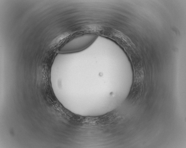 X0000115550773200912041031