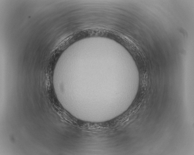 X0000115550774200912041031