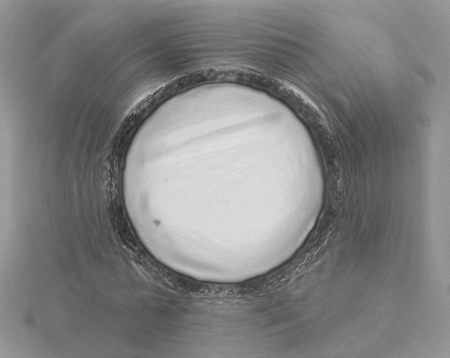 X0000115550775200912041031