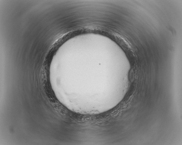 X0000115550776200912041031