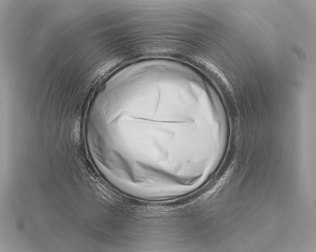 X0000115550777200912041031