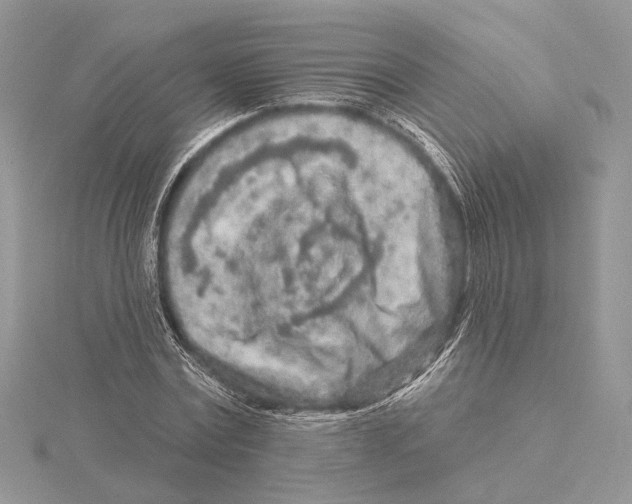 X0000115550779200912041031