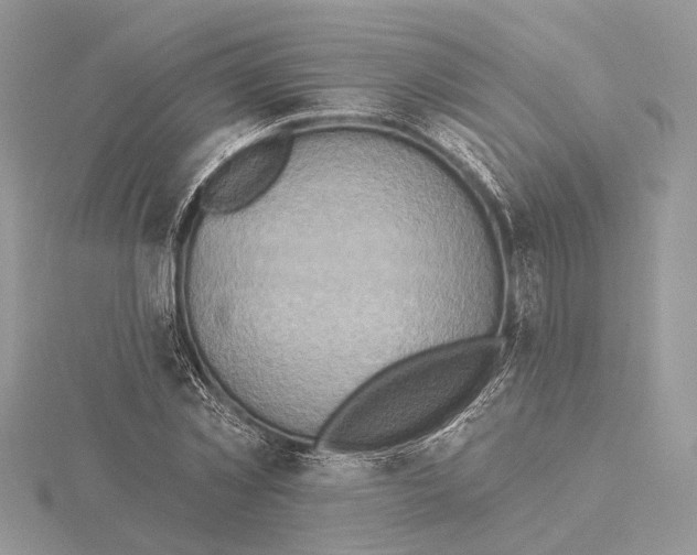 X0000115550781200912041031