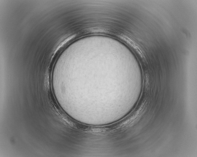 X0000115550782200912041031