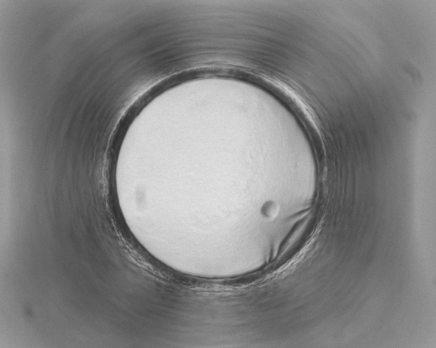 X0000115550783200912041031