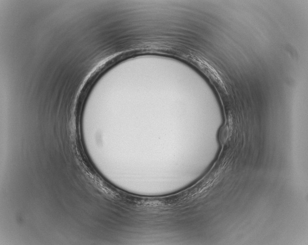 X0000115550784200912041031