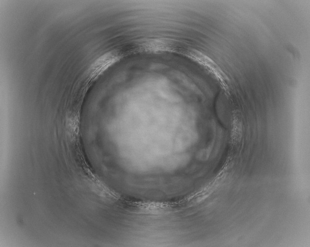 X0000115550785200912041031