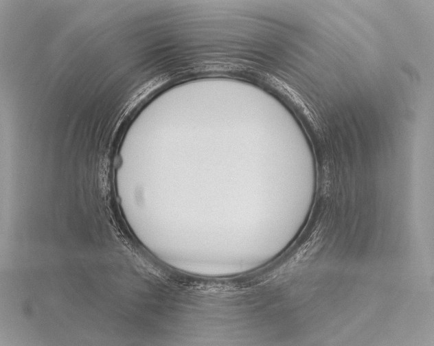 X0000115550786200912041031