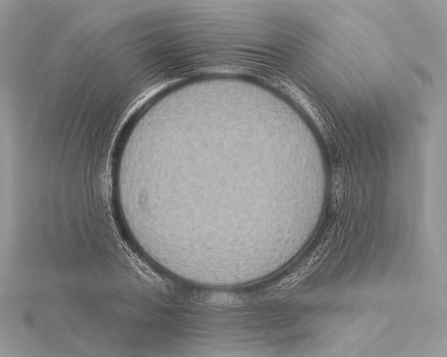 X0000115550787200912041031