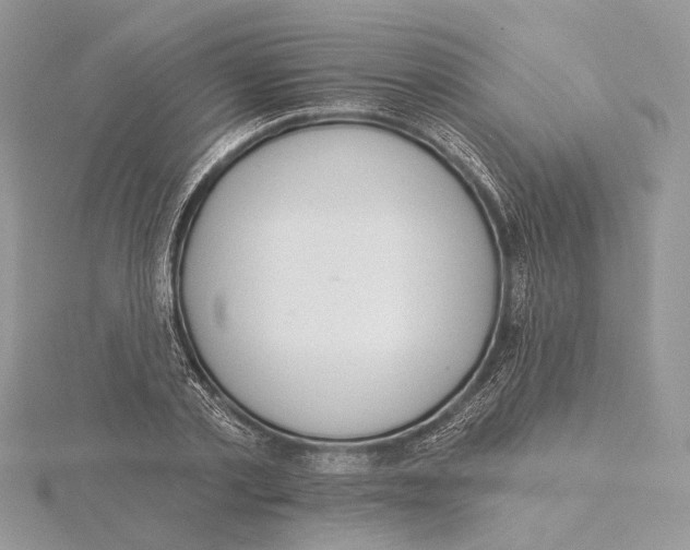 X0000115550789200912041031