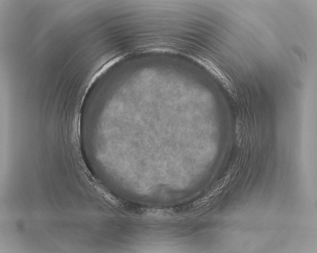 X0000115550790200912041031