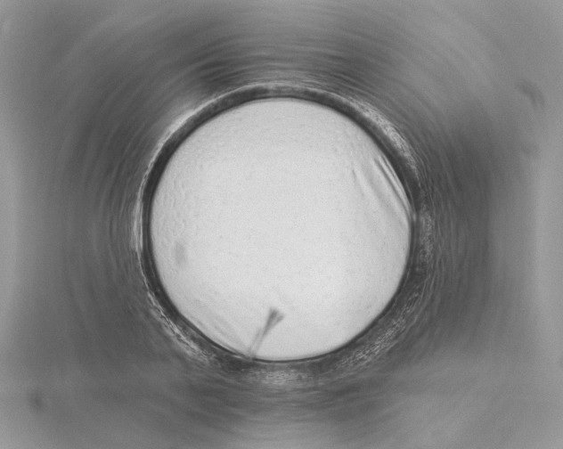 X0000115550791200912041031