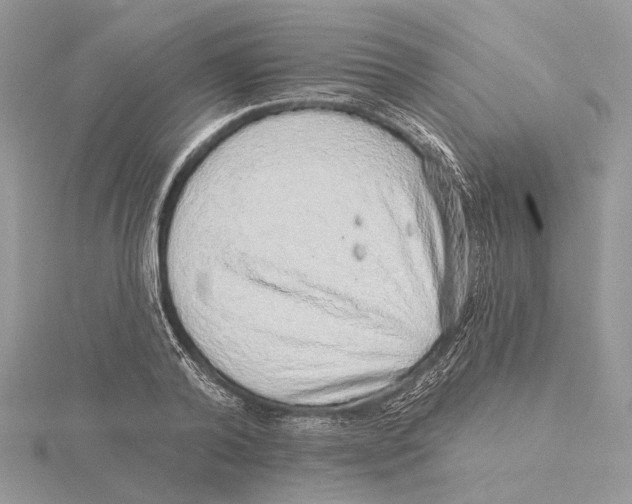 X0000115550792200912041031