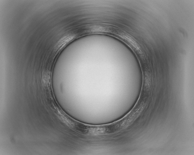 X0000115550793200912041031