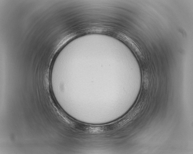 X0000115550794200912041031