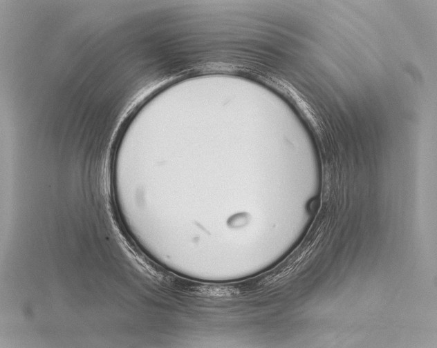 X0000115550795200912041031