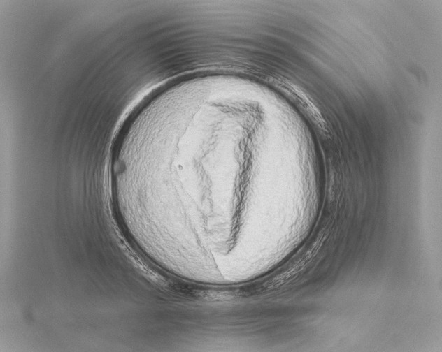 X0000115550796200912041031