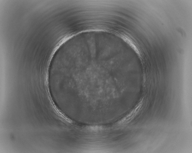 X0000115550797200912041031