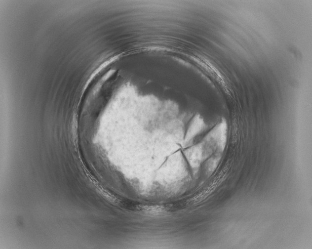 X0000115550798200912041031