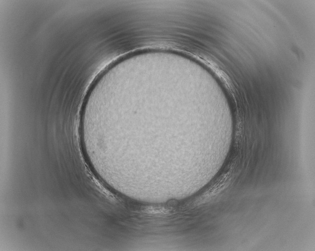 X0000115550799200912041031